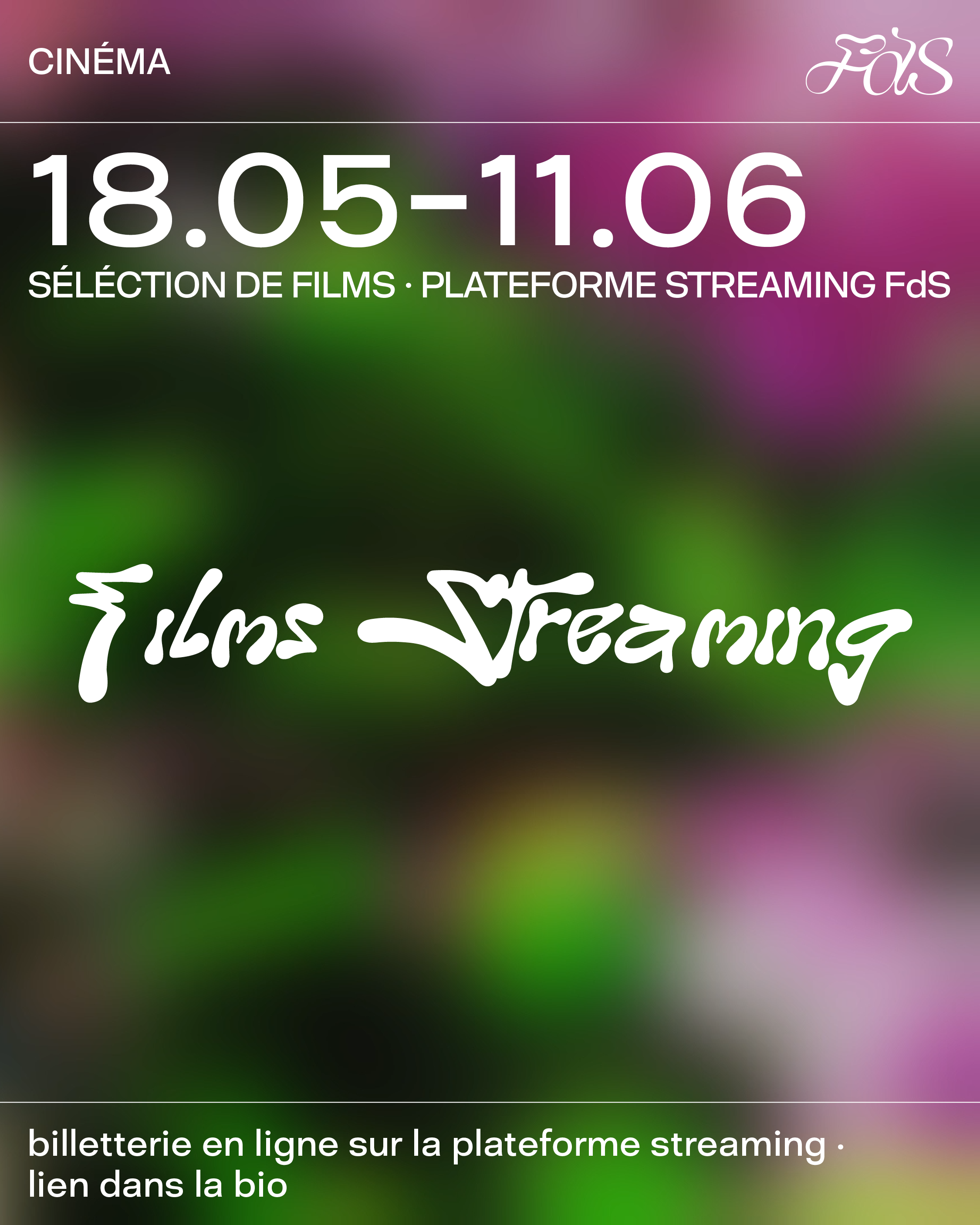 https://www.fdsfestival.ch/media/site/d863dacc6d-1684939455/focus_cinema_bloc_online.png